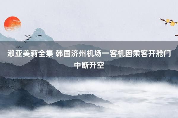 濑亚美莉全集 韩国济州机场一客机因乘客开舱门中断升空