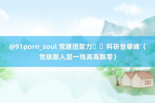 @91porn_soul 党建团聚力  科研登攀峰（党旗鄙人层一线高高飘零）