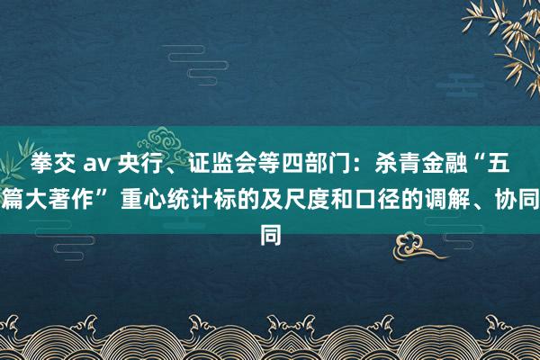 拳交 av 央行、证监会等四部门：杀青金融“五篇大著作” 重心统计标的及尺度和口径的调解、协同