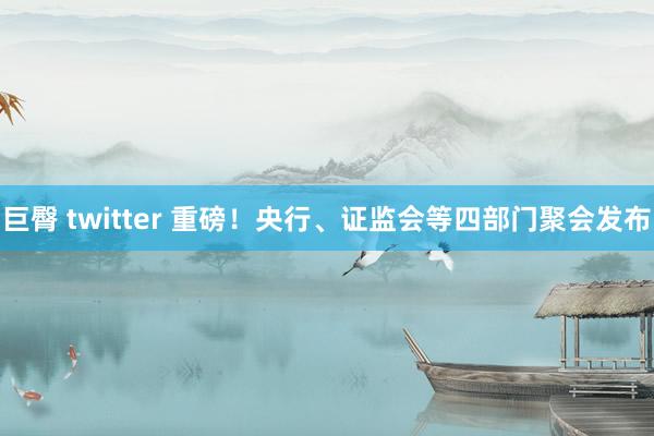巨臀 twitter 重磅！央行、证监会等四部门聚会发布