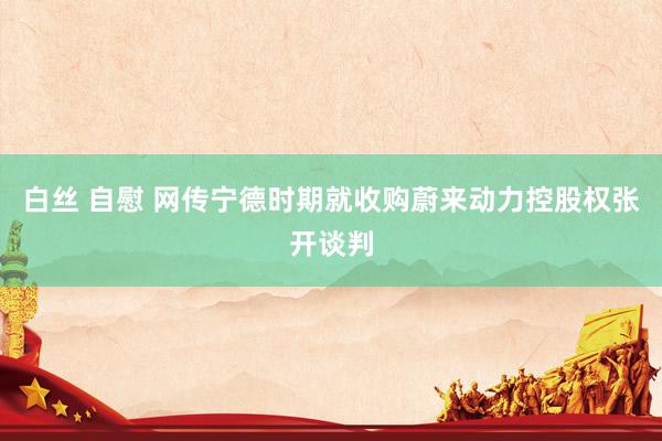 白丝 自慰 网传宁德时期就收购蔚来动力控股权张开谈判
