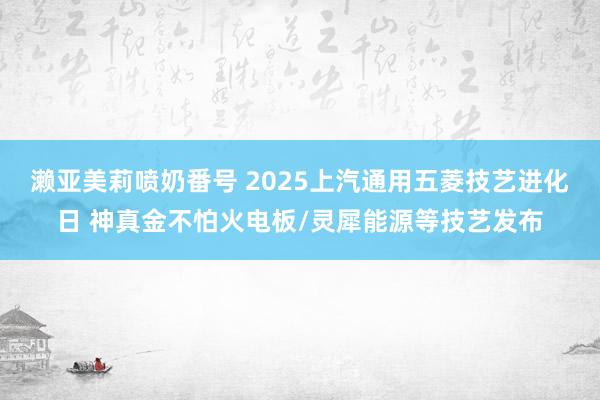 濑亚美莉喷奶番号 2025上汽通用五菱技艺进化日 神真金不怕火电板/灵犀能源等技艺发布