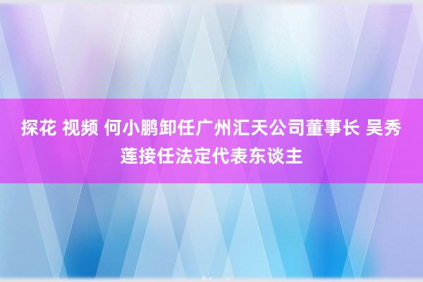 探花 视频 何小鹏卸任广州汇天公司董事长 吴秀莲接任法定代表东谈主