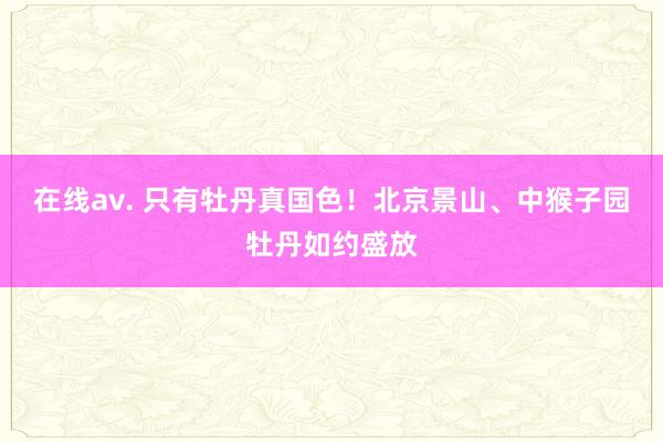 在线av. 只有牡丹真国色！北京景山、中猴子园牡丹如约盛放