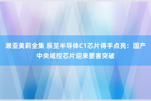 濑亚美莉全集 辰至半导体C1芯片得手点亮：国产中央域控芯片迎来要害突破