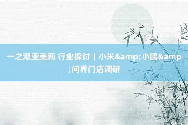 一之濑亚美莉 行业探讨｜小米&小鹏&问界门店调研