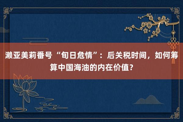 濑亚美莉番号 “旬日危情”：后关税时间，如何筹算中国海油的内在价值？