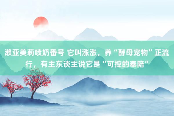 濑亚美莉喷奶番号 它叫涨涨，养“酵母宠物”正流行，有主东谈主说它是“可控的奉陪”