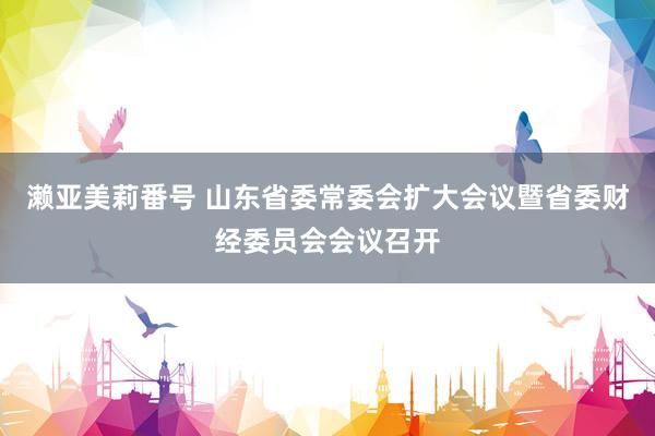 濑亚美莉番号 山东省委常委会扩大会议暨省委财经委员会会议召开