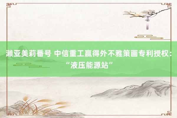 濑亚美莉番号 中信重工赢得外不雅策画专利授权：“液压能源站”