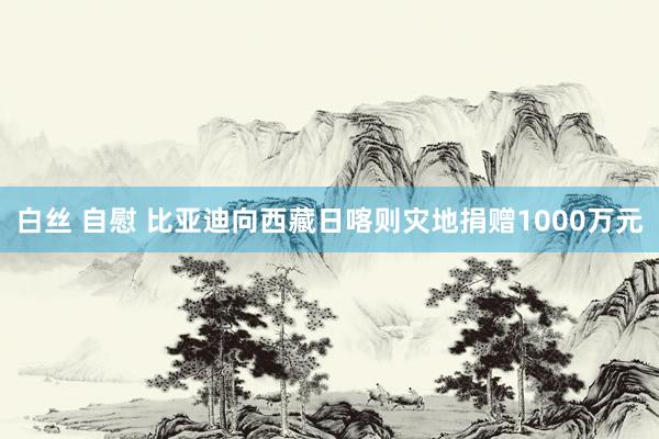 白丝 自慰 比亚迪向西藏日喀则灾地捐赠1000万元