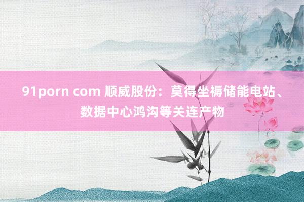 91porn com 顺威股份：莫得坐褥储能电站、数据中心鸿沟等关连产物