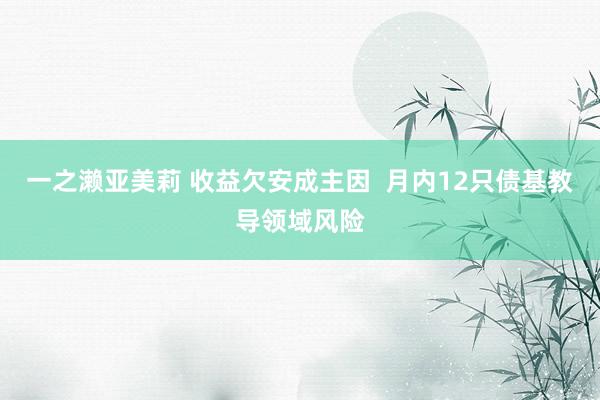 一之濑亚美莉 收益欠安成主因  月内12只债基教导领域风险
