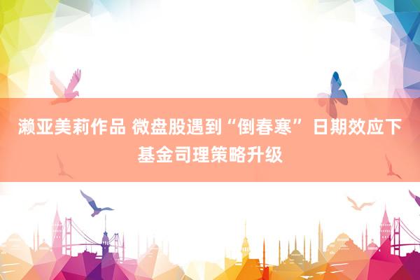 濑亚美莉作品 微盘股遇到“倒春寒” 日期效应下基金司理策略升级