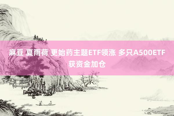 麻豆 夏雨荷 更始药主题ETF领涨 多只A500ETF获资金加仓