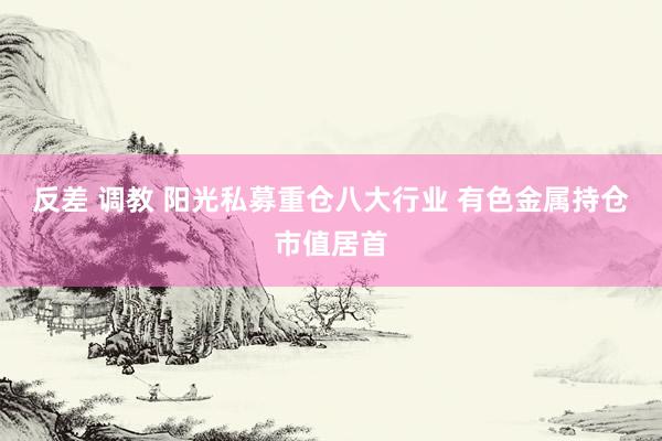 反差 调教 阳光私募重仓八大行业 有色金属持仓市值居首