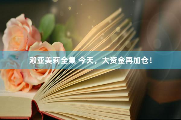 濑亚美莉全集 今天，大资金再加仓！