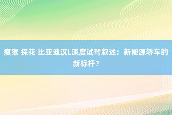 瘦猴 探花 比亚迪汉L深度试驾叙述：新能源轿车的新标杆？