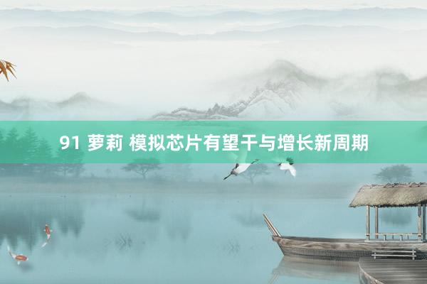 91 萝莉 模拟芯片有望干与增长新周期