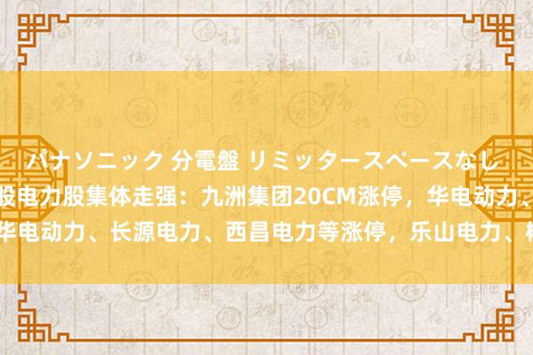 パナソニック 分電盤 リミッタースペースなし 露出・半埋込両用形 A股电力股集体走强：九洲集团20CM涨停，华电动力、长源电力、西昌电力等涨停，乐山电力、郴电海外涨超8%