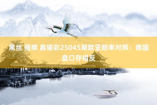 黑丝 捆绑 赢输彩25045期欧亚赔率对照：德国盘口存相反