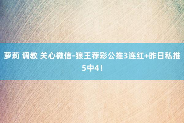 萝莉 调教 关心微信-狼王荐彩公推3连红+昨日私推5中4！