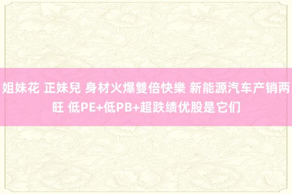 姐妹花 正妹兒 身材火爆雙倍快樂 新能源汽车产销两旺 低PE+低PB+超跌绩优股是它们