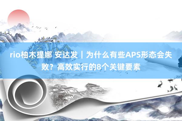 rio柚木提娜 安达发｜为什么有些APS形态会失败？高效实行的8个关键要素